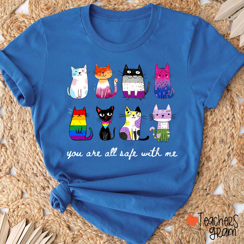 Rainbow Color Cats You Are All Safe With Me Teacher T-Shirt