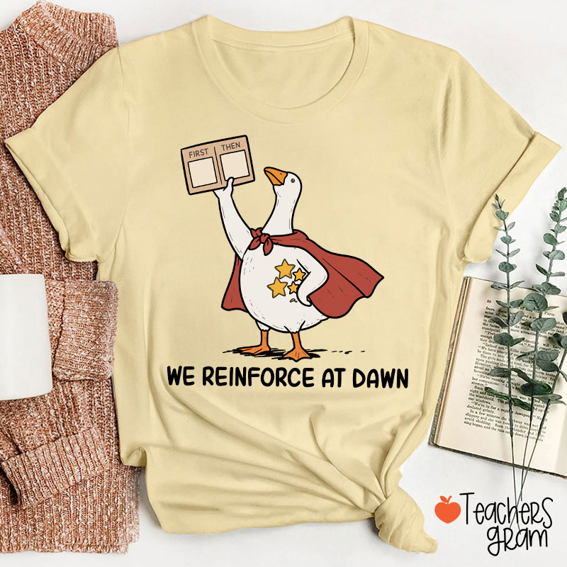 We Reinforce At Dawn Silly Goose Cape Star Chart Teacher T-Shirt
