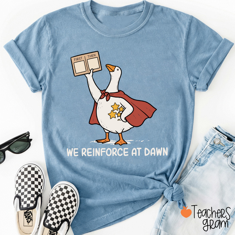 We Reinforce At Dawn Silly Goose Cape Star Chart Teacher T-Shirt