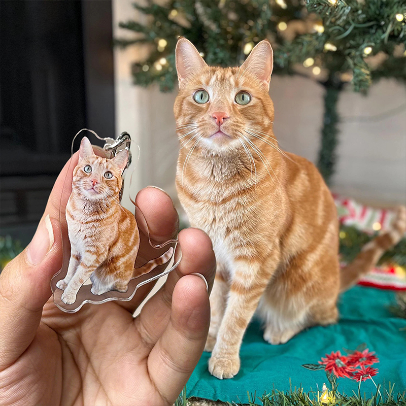 Personalized Pet Photo Teacher Keychain