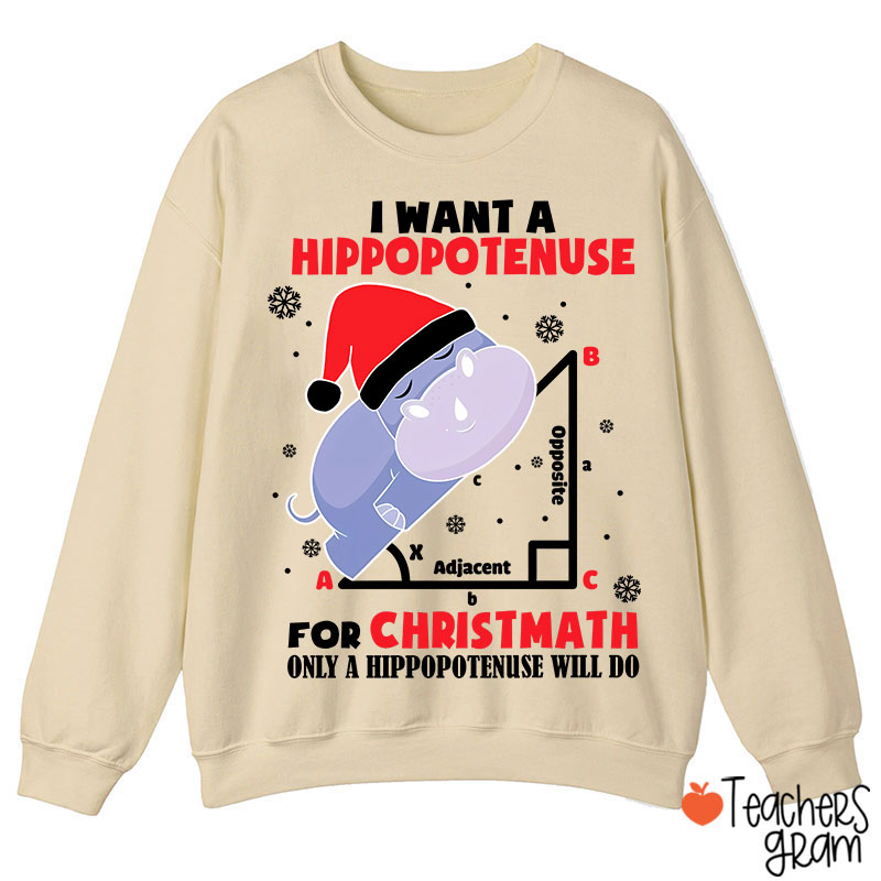 I Want A Hippopotenuse For Christmas Teacher Sweatshirt