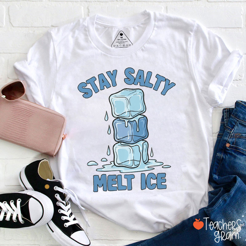 Stay Salty Melt Ice Teacher T-Shirt