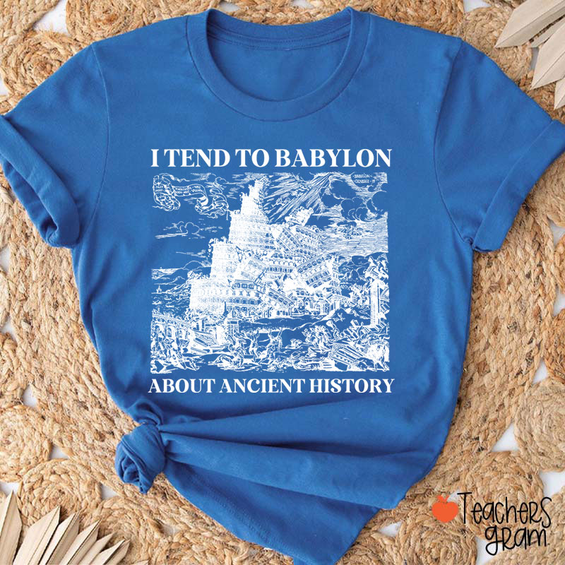 I Tend To Babylon About Ancient History Teacher T-Shirt