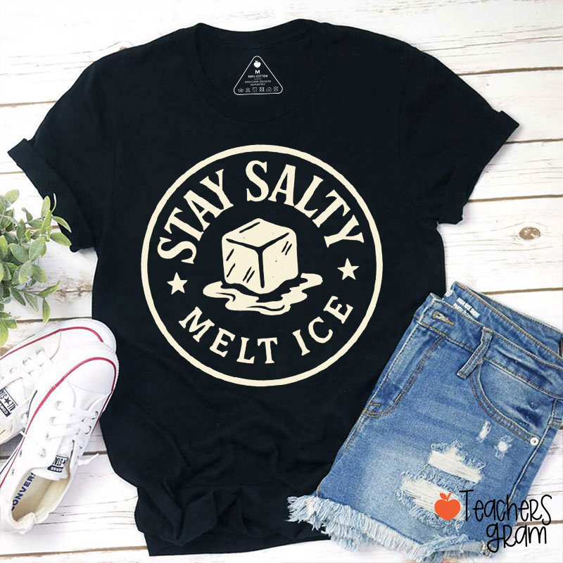 Stay Salty Melt Ice Teacher T-Shirt