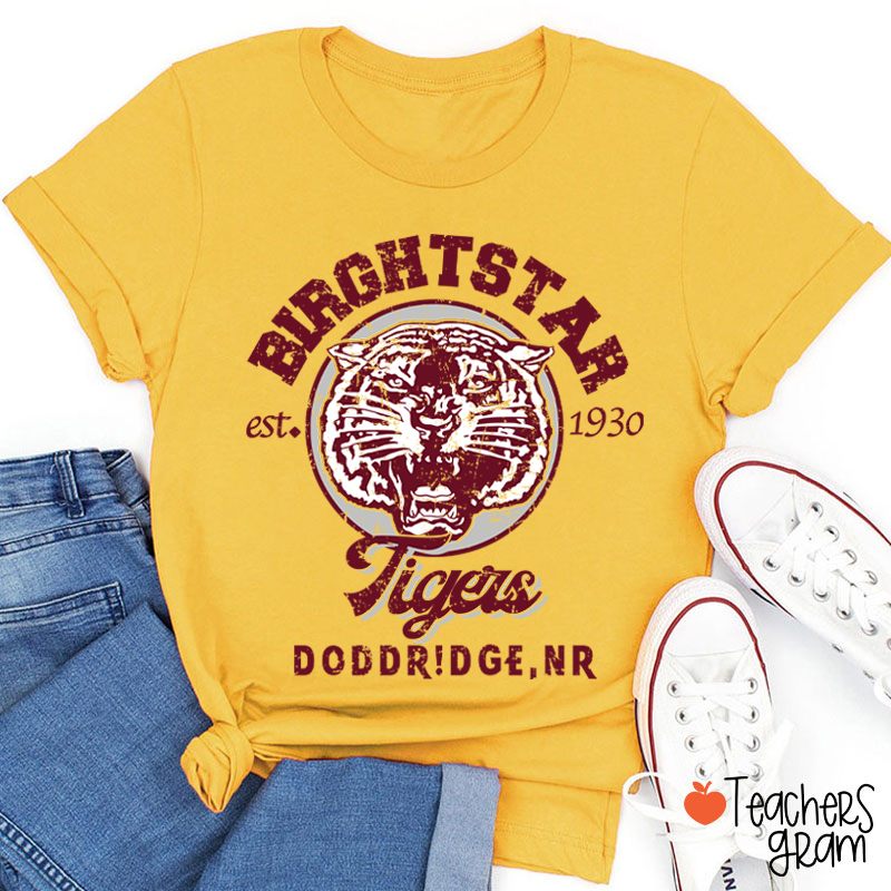 Personalized Mascot Vintage School Spirit Teacher T-Shirt
