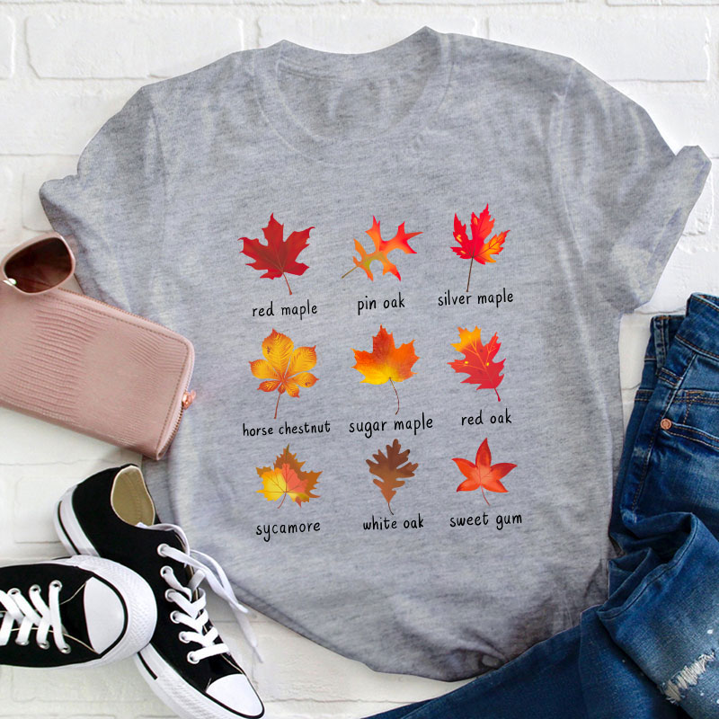 Meet The Leaves With Me Teacher T-Shirt