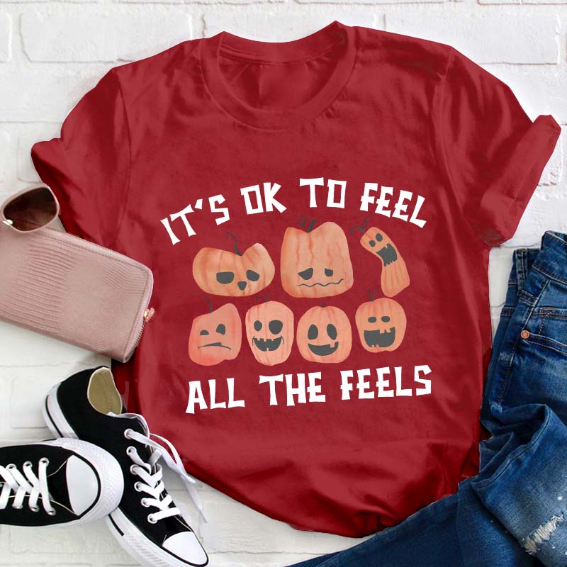It's Ok To Feel All The Feels Teacher T-Shirt