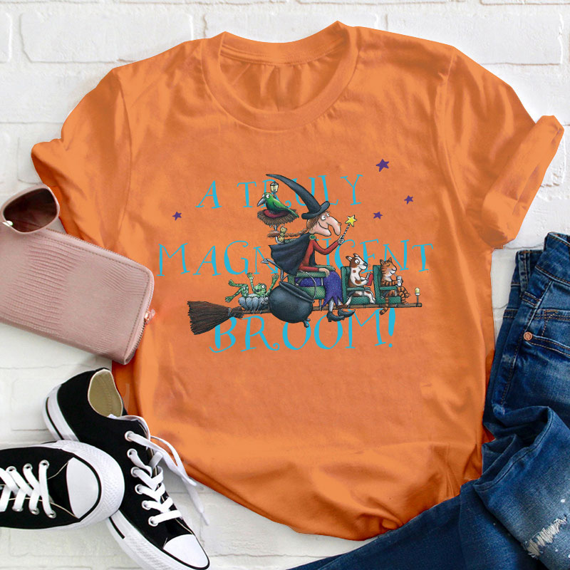 Room On The Broom Witch Teacher T-Shirt
