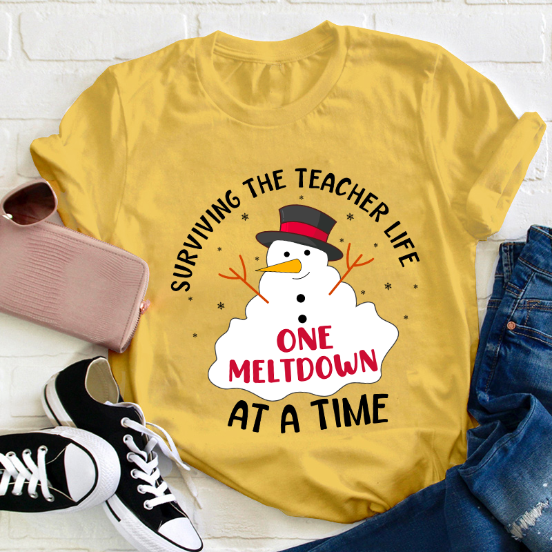 Surviving The Teacher At A Time Teacher T-Shirt