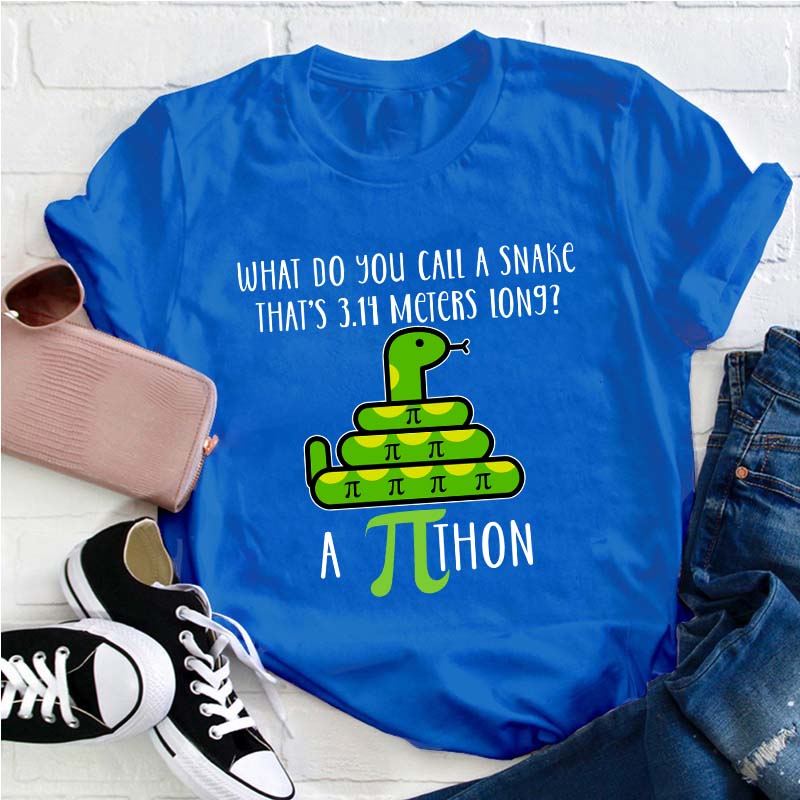 What Do You Call A Snake Teacher T-Shirt