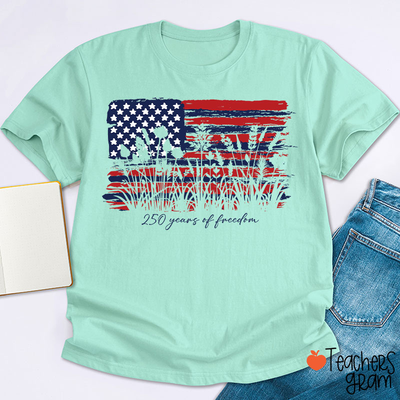 Land Of The Free Home Of The Brave Teacher T-Shirt