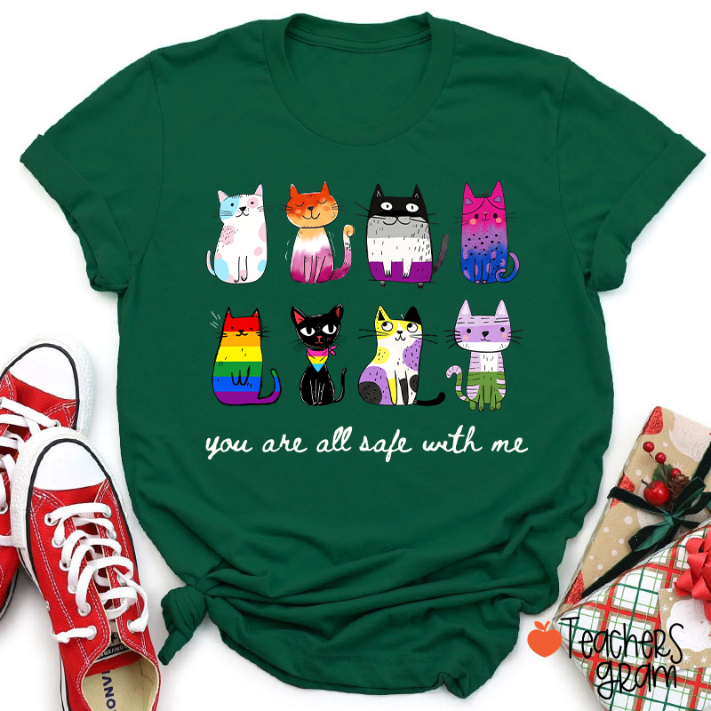 Rainbow Color Cats You Are All Safe With Me Teacher T-Shirt