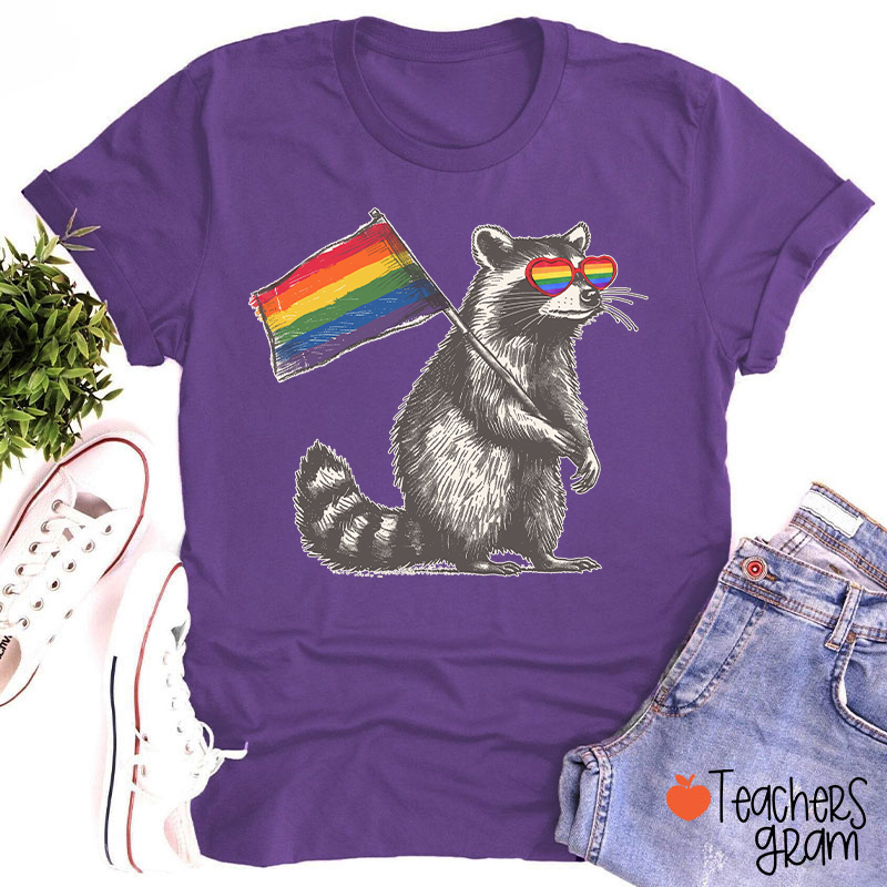 Funny Raccoon Rainbow Flag Pride Teacher T-Shirt