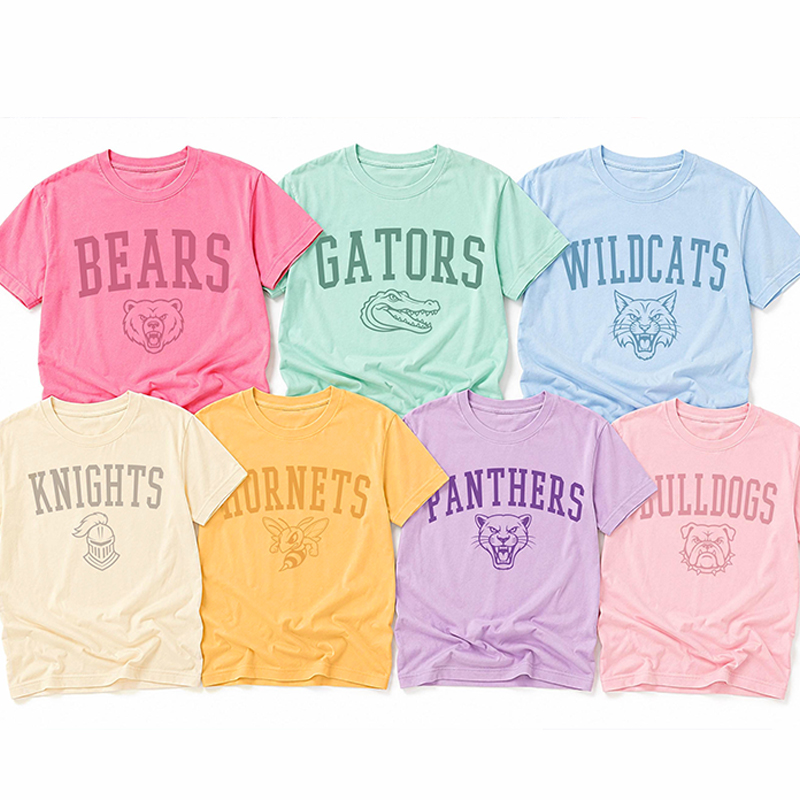 Personalized Mascot Outline Graphic Varsity Letter Teacher T-Shirt