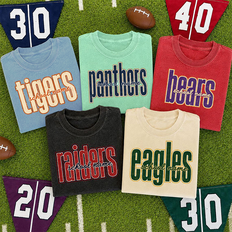 Personalized Mascot And School Name Vintage Comfort Colors Teacher T-Shirt