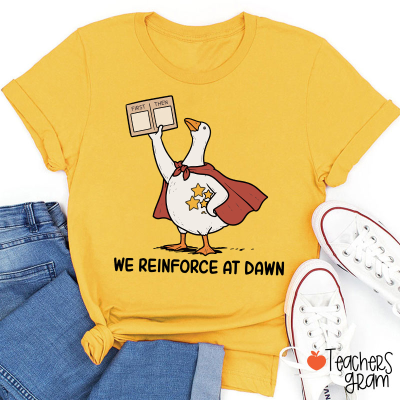 We Reinforce At Dawn Silly Goose Cape Star Chart Teacher T-Shirt