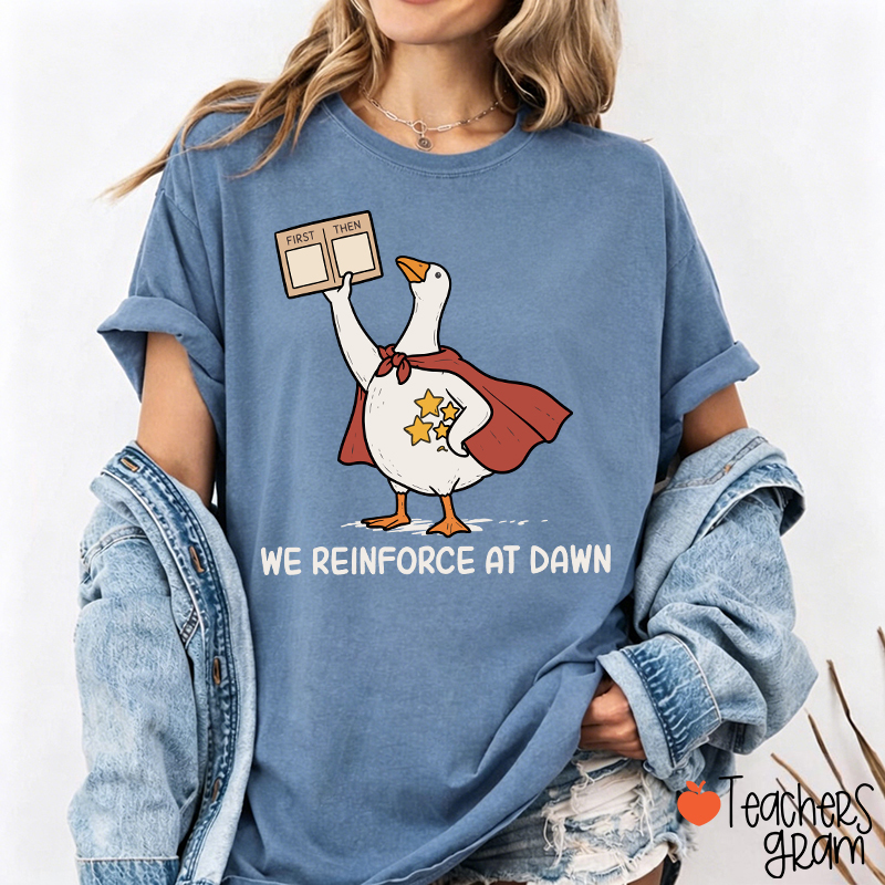 We Reinforce At Dawn Silly Goose Cape Star Chart Teacher T-Shirt