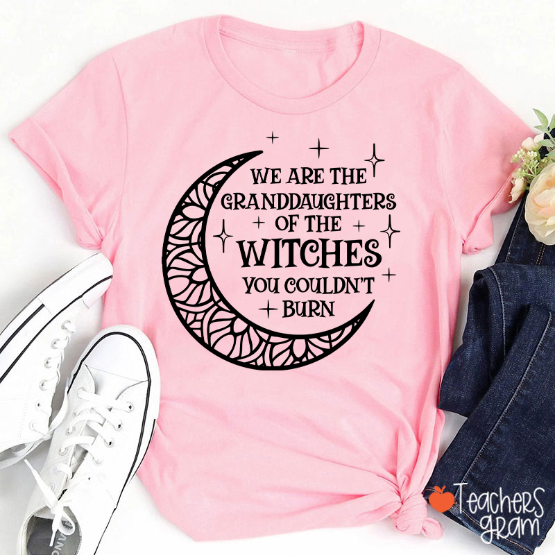 The Witches You Couldn't Burn Teacher T-Shirt