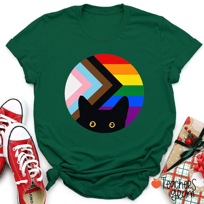 Rainbow And Black Cat Teacher T-Shirt