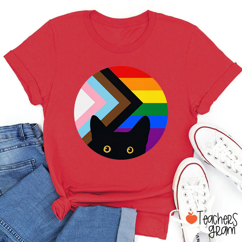 Rainbow And Black Cat Teacher T-Shirt