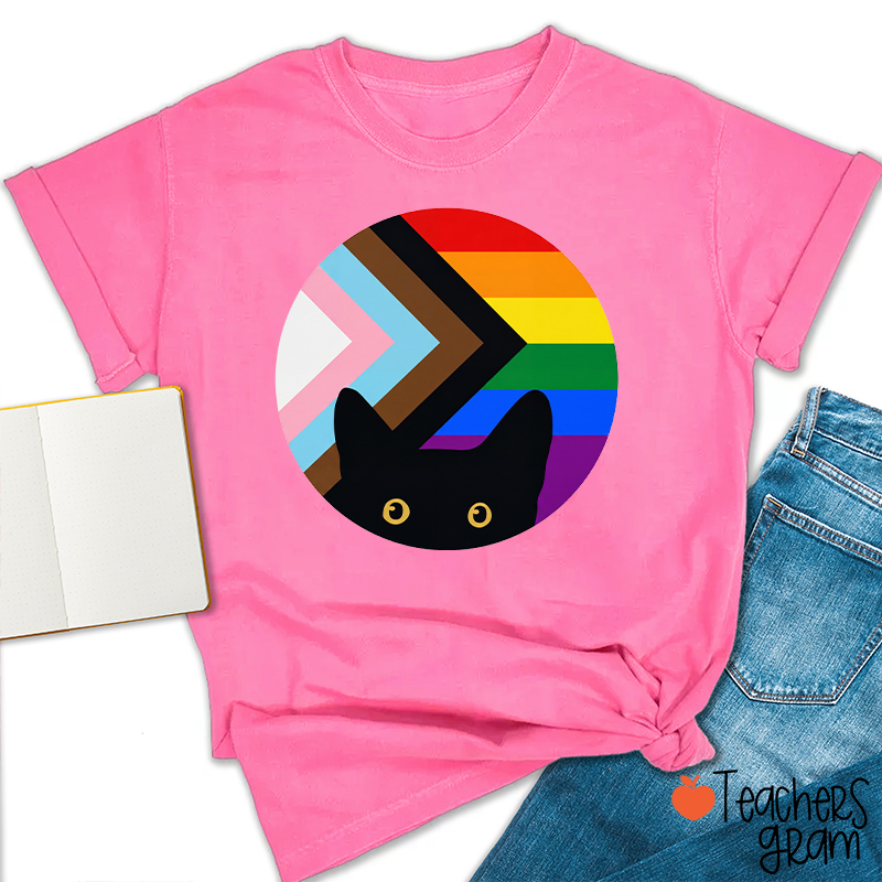 Rainbow And Black Cat Teacher T-Shirt