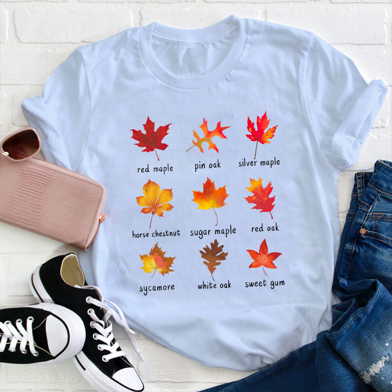 Meet The Leaves With Me Teacher T-Shirt