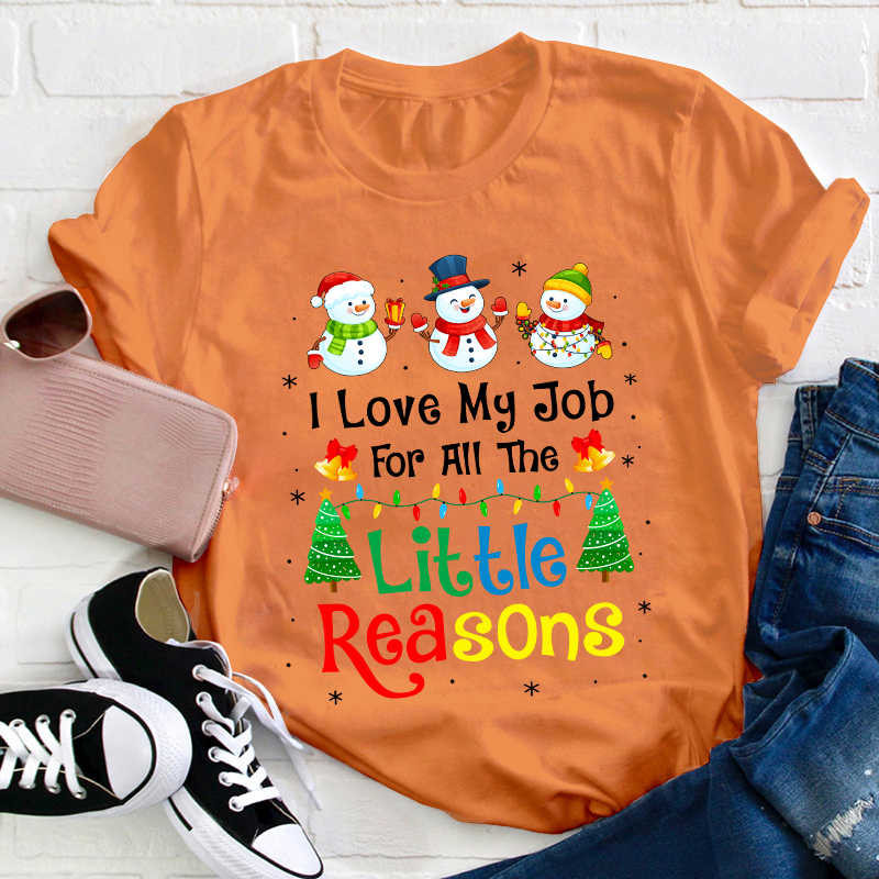 I Love My Job For All The Little Reasons Teacher T-Shirt