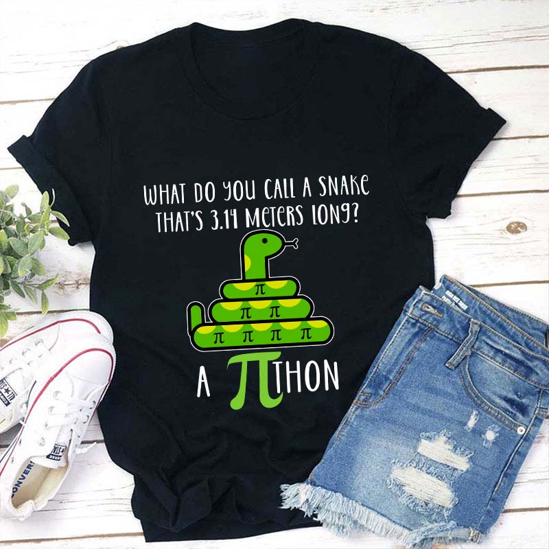 What Do You Call A Snake Teacher T-Shirt