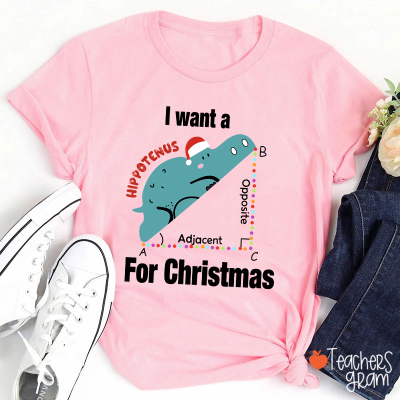 I Want A Hippotenus For Christmas Teacher T-Shirt