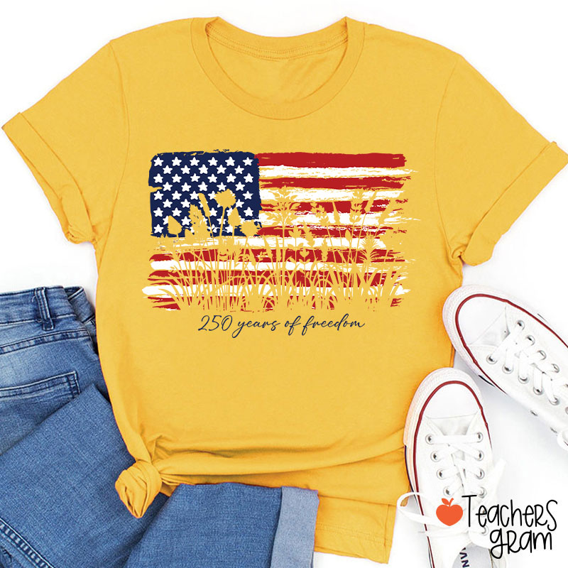 Land Of The Free Home Of The Brave Teacher T-Shirt