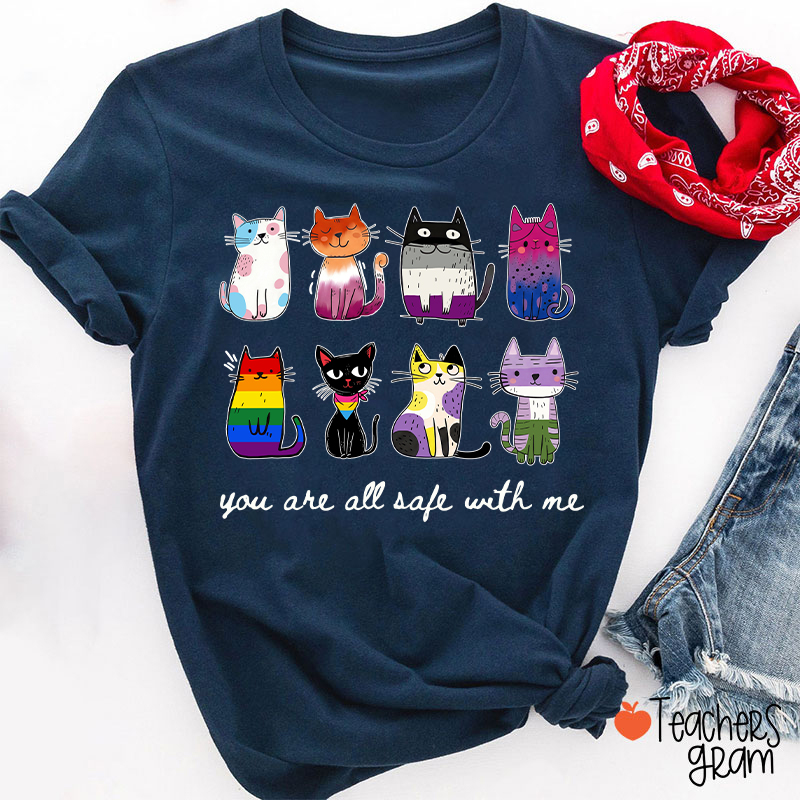 Rainbow Color Cats You Are All Safe With Me Teacher T-Shirt