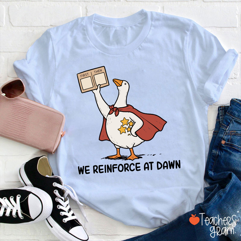 We Reinforce At Dawn Silly Goose Cape Star Chart Teacher T-Shirt