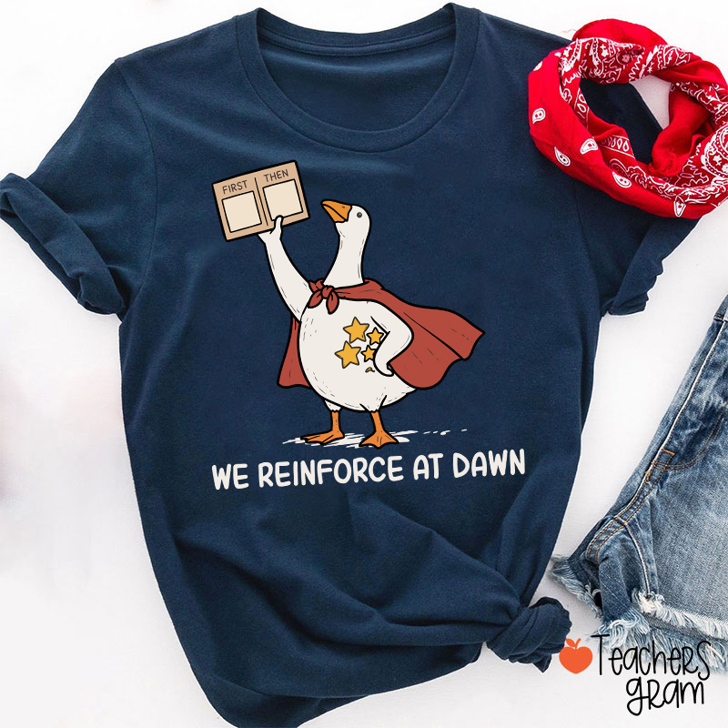 We Reinforce At Dawn Silly Goose Cape Star Chart Teacher T-Shirt