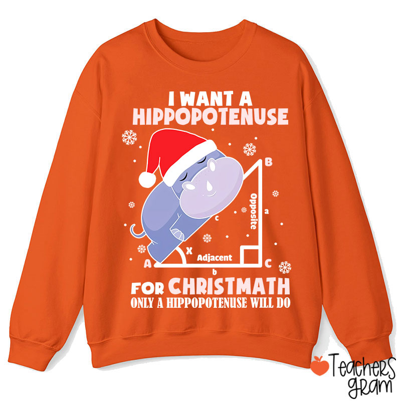 I Want A Hippopotenuse For Christmas Teacher Sweatshirt