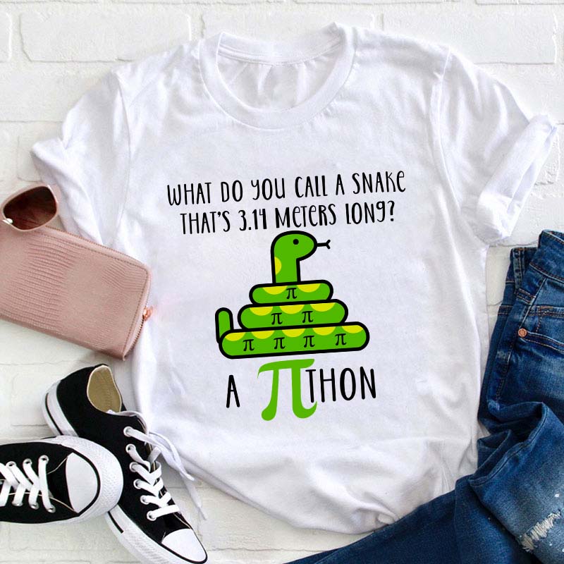 What Do You Call A Snake Teacher T-Shirt Sale-Teachersgram