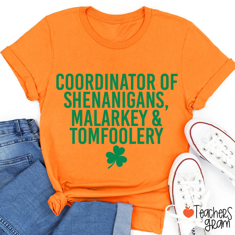 Coordinator Of Shenanigans Teacher T-Shirt