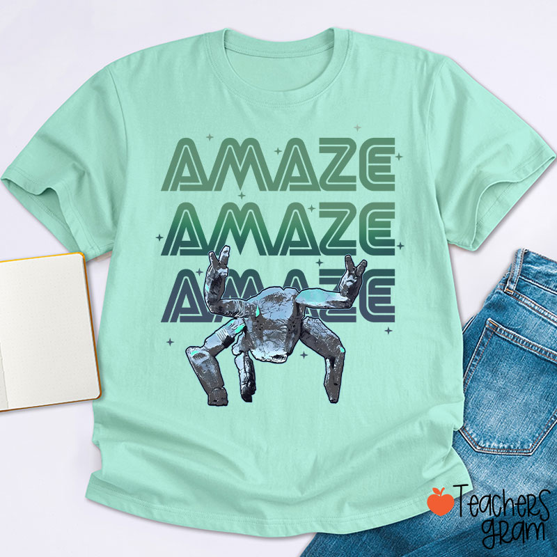 Hail Mary Amazing Teacher T-Shirt