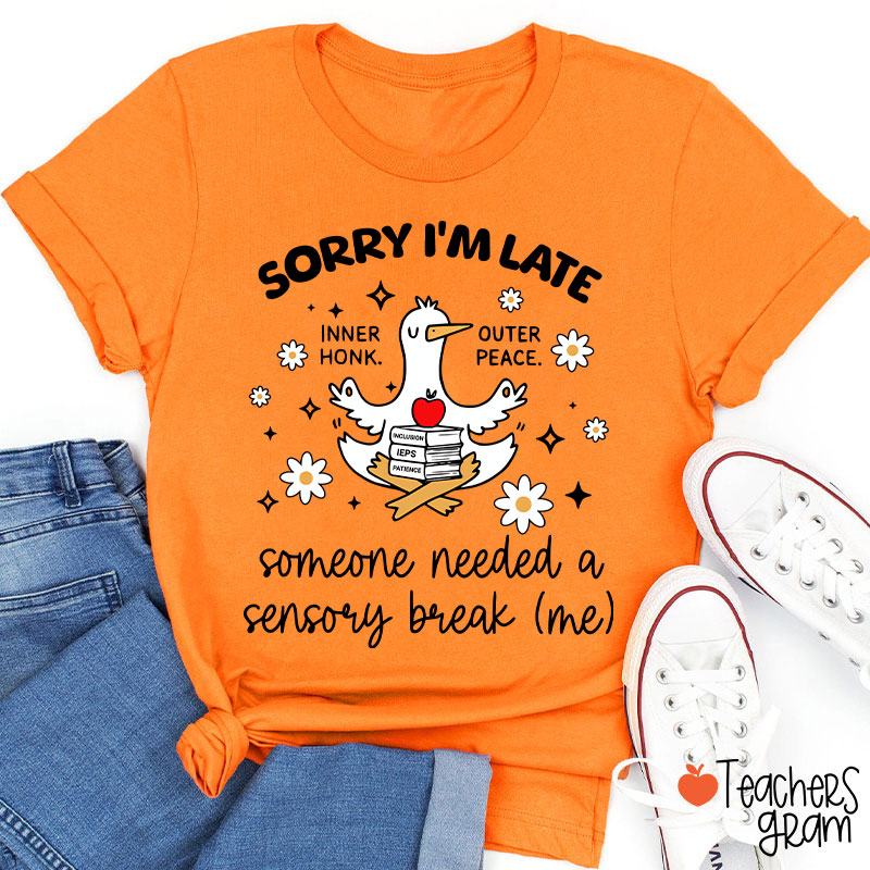 Sorry I'm Late Someone Needed A Sensory Break Teacher T-Shirt