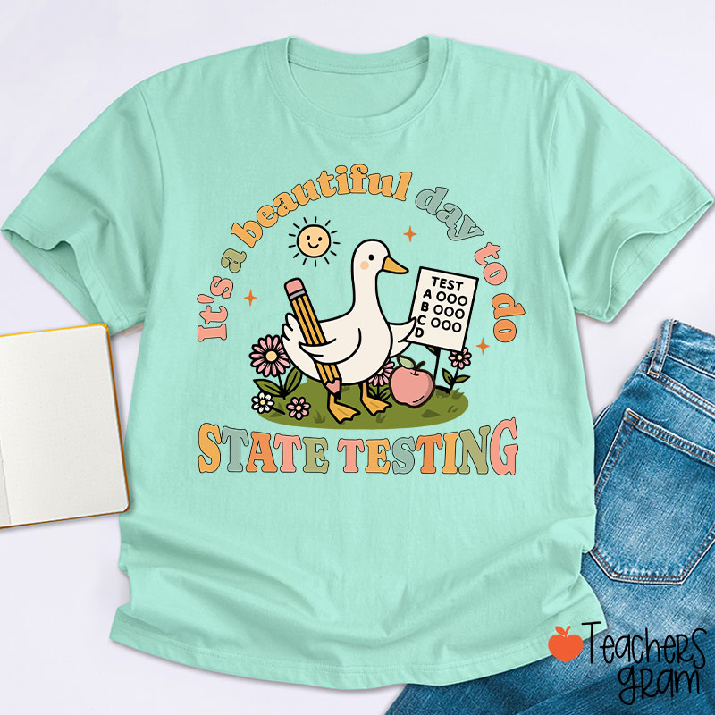 It's A Beautiful Day To Do State Testing Teacher T-Shirt