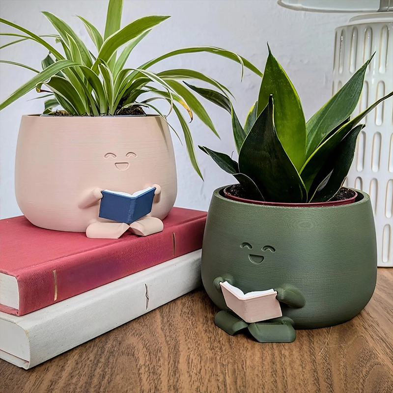 Unique Reading Plant Pot