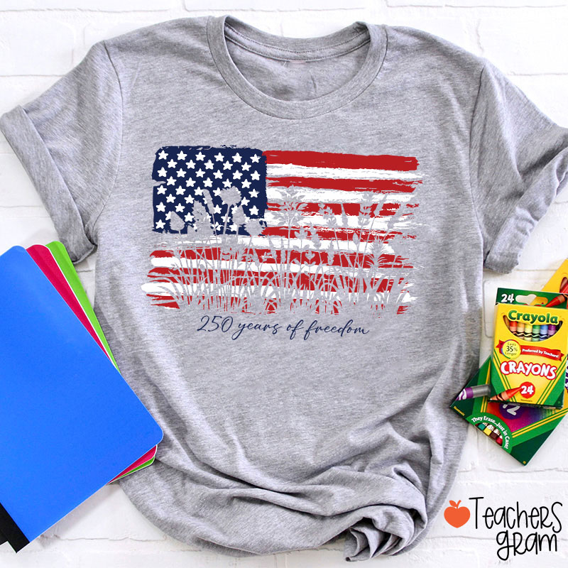 Land Of The Free Home Of The Brave Teacher T-Shirt
