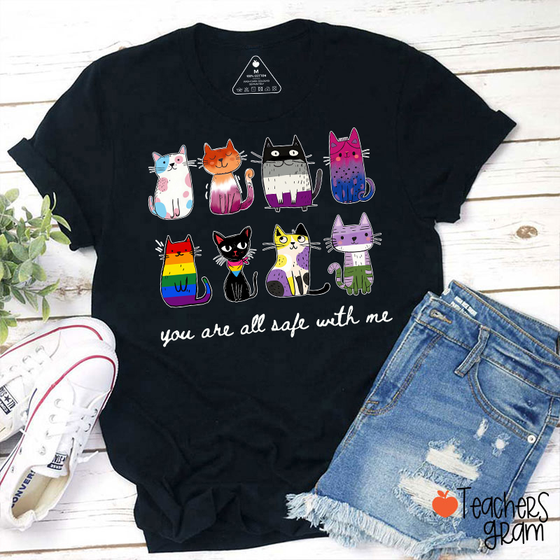 Rainbow Color Cats You Are All Safe With Me Teacher T-Shirt