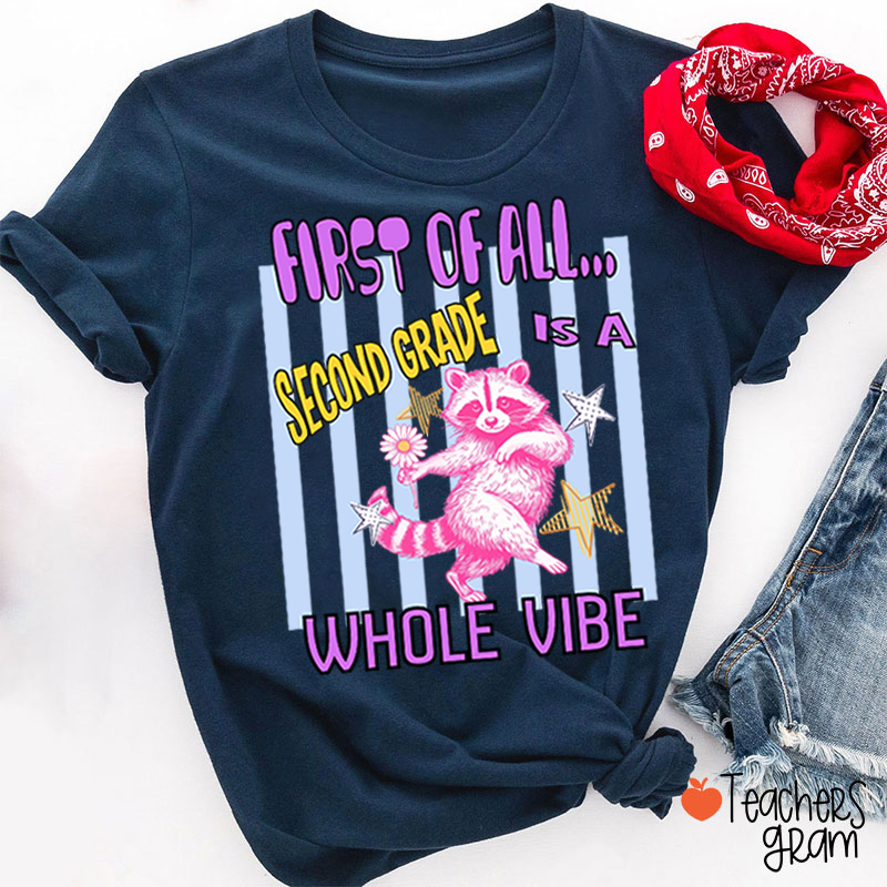 Personalized Grade Pink Raccoon Whole Vibe Teacher T-Shirt