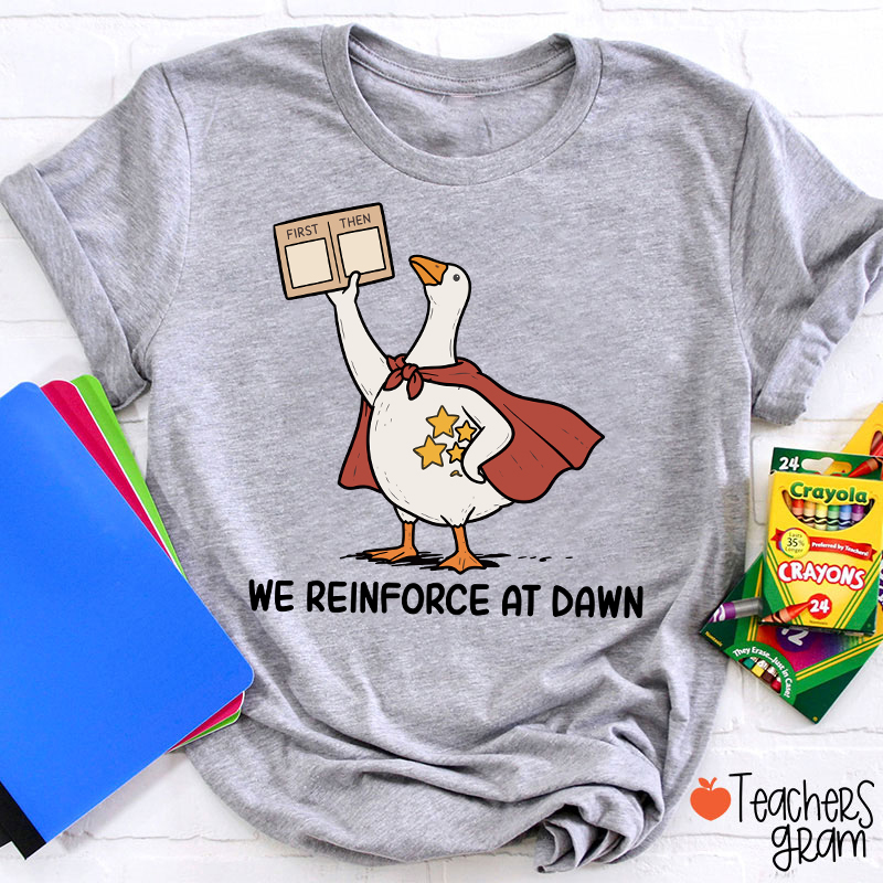 We Reinforce At Dawn Silly Goose Cape Star Chart Teacher T-Shirt