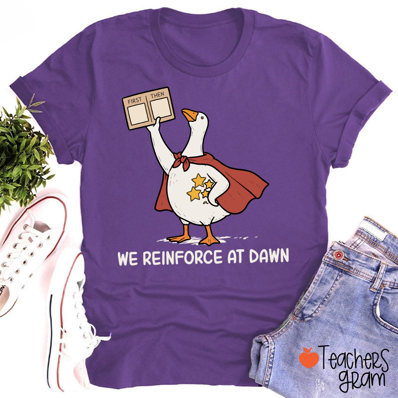 We Reinforce At Dawn Silly Goose Cape Star Chart Teacher T-Shirt
