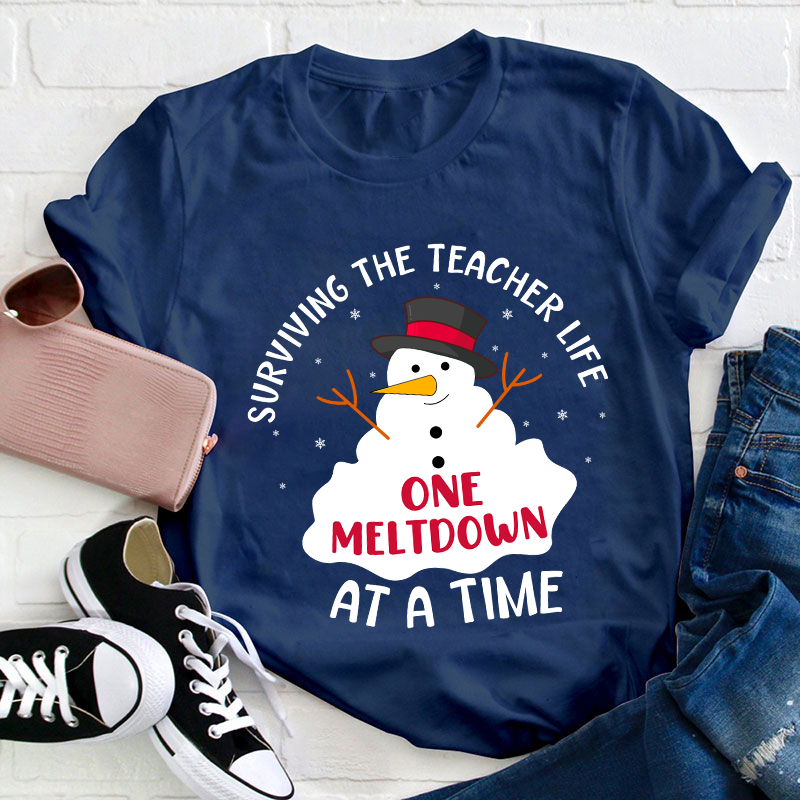 Surviving The Teacher At A Time Teacher T-Shirt