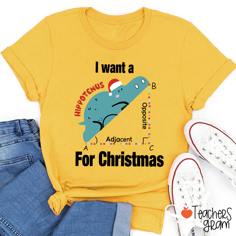 I Want A Hippotenus For Christmas Teacher T-Shirt