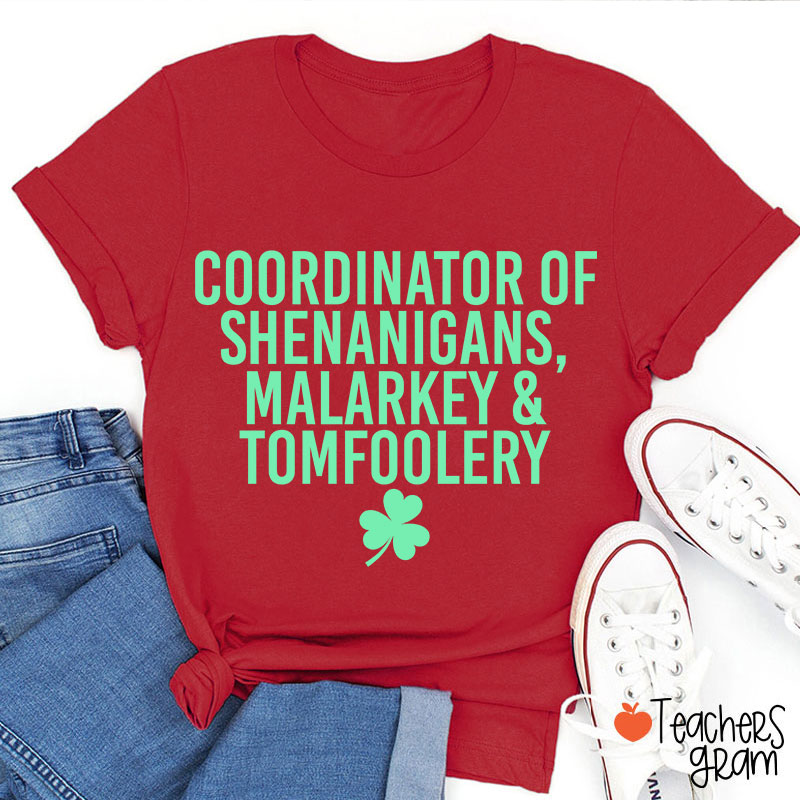 Coordinator Of Shenanigans Teacher T-Shirt