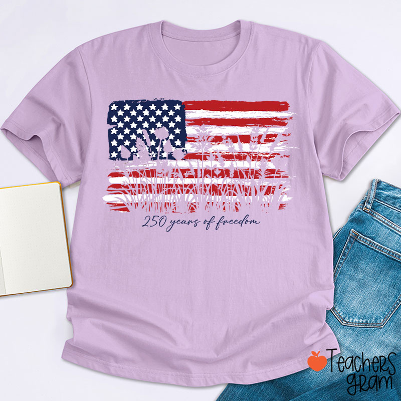 Land Of The Free Home Of The Brave Teacher T-Shirt
