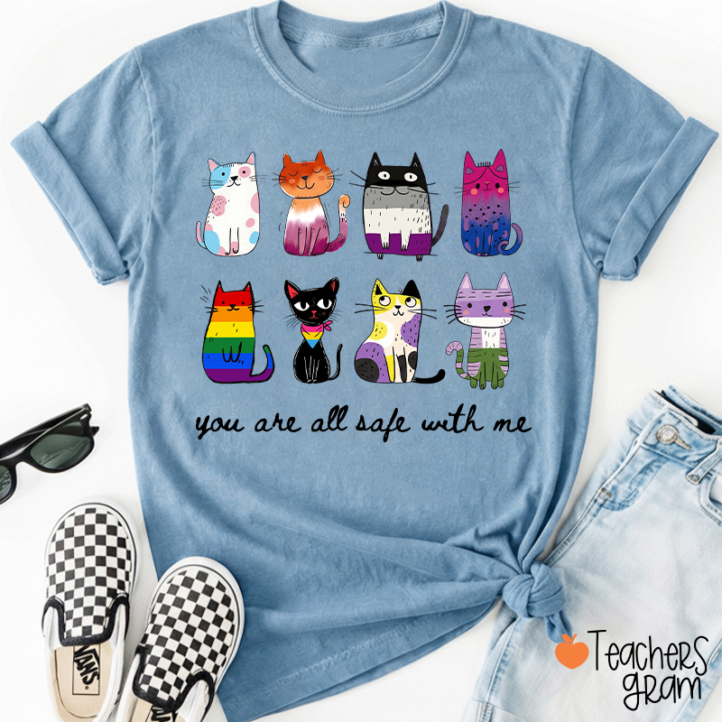 Rainbow Color Cats You Are All Safe With Me Teacher T-Shirt
